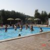 Persone che nuotano in piscina, circondate da ombrelloni e alberi.