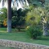 Un giardino con palme e un grande vaso di terracotta su un prato verde.