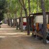 File di bungalow in legno immersi tra gli alberi, con sedie e asciugamani sui terrazzi.