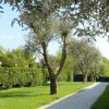 Sentiero acciottolato tra alberi e siepi verdi.