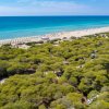Una spiaggia sabbiosa con file di ombrelloni e mare azzurro.