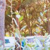 Roulotte tra alberi con foglie e rami in primo piano.