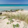 Spiaggia con mare turchese e sabbia bianca.