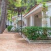 Villette bianche con portici immerse nel verde.
