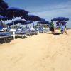 Una spiaggia con file di ombrelloni blu e sdraio, cielo sereno.