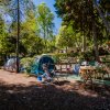 Camping Villaggio Internazionale (FG) Puglia